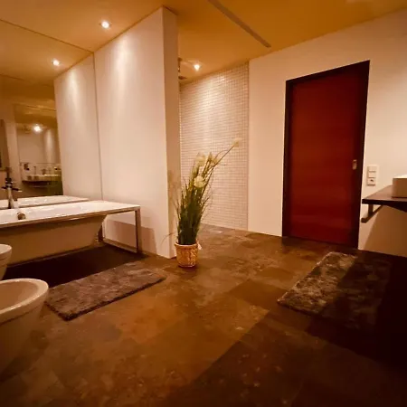 Loft 2-room * Frastanz